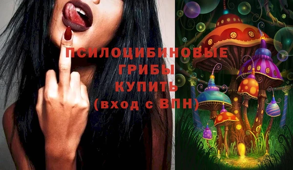 винт Алексеевка