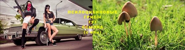 мет Алзамай