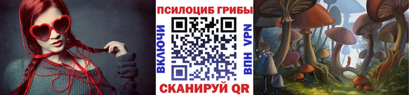 гидра   Новоалтайск  Псилоцибиновые грибы прущие грибы 