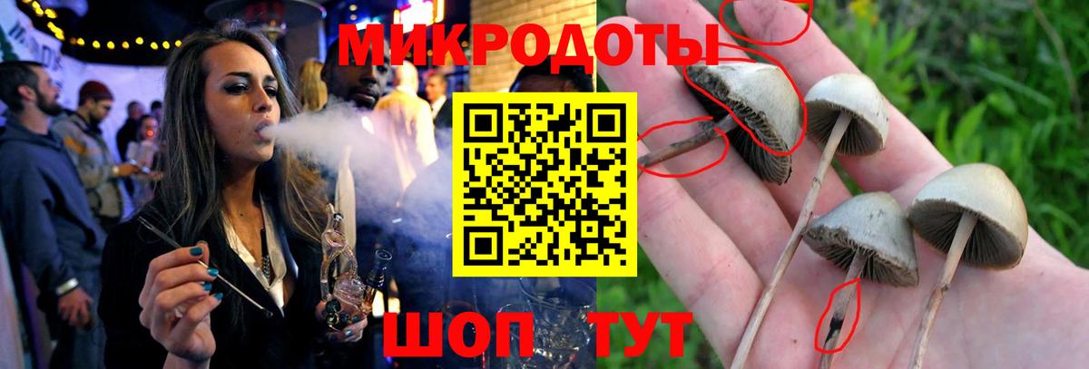 Галлюциногенные грибы прущие грибы Новоалтайск